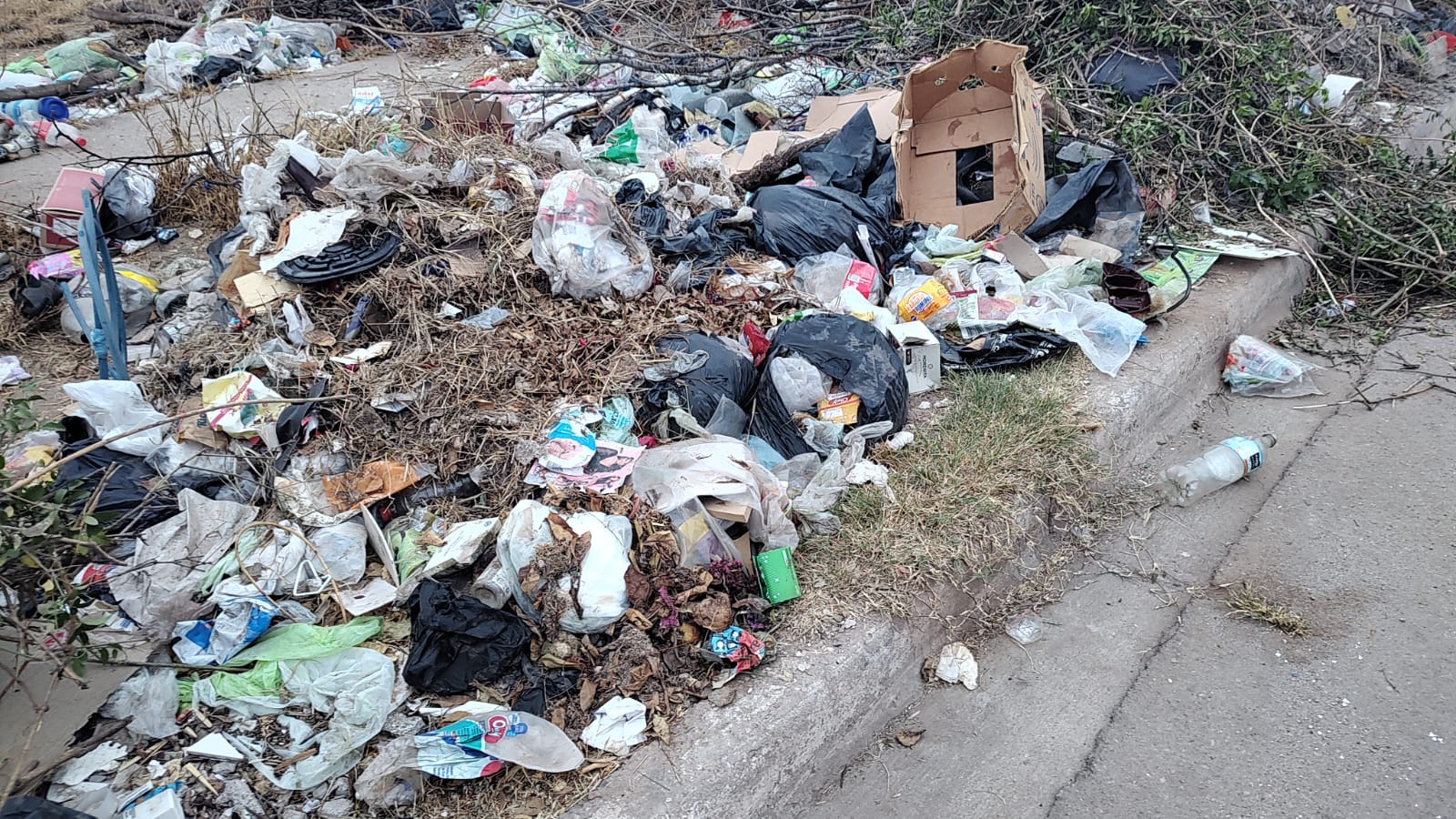 Vecinos reclaman por basurales en la zona sur de la ciudad - Medios ...