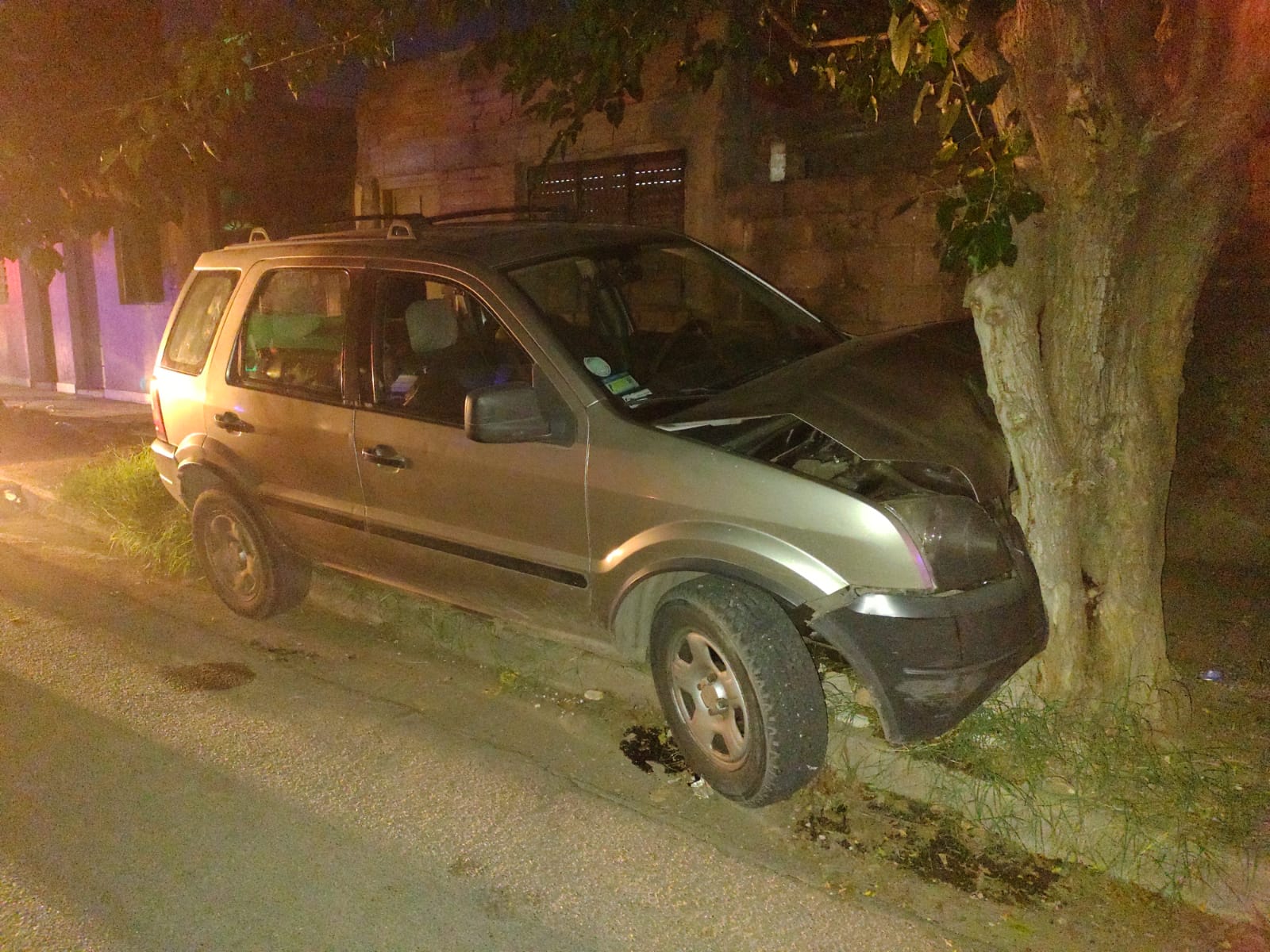 Una camioneta pierde el control e impactó contra un árbol - Medios ...